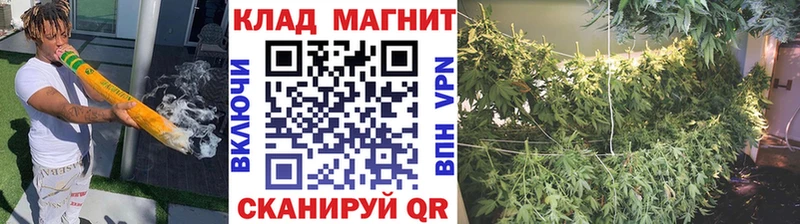 Где купить Балей Марихуана  Кокаин  СОЛЬ  АМФЕТАМИН  Галлюциногенные грибы  ГАШИШ 