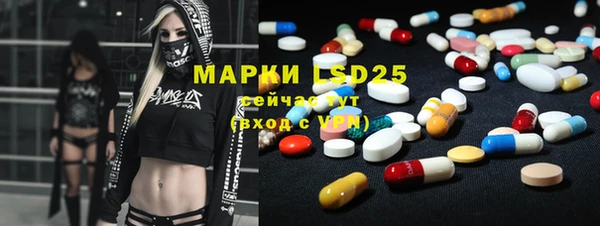 индика Беломорск