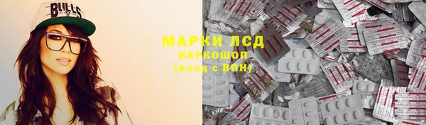 индика Беломорск