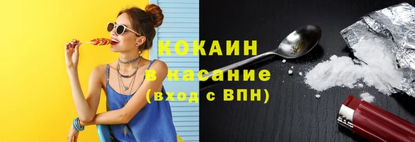 индика Беломорск