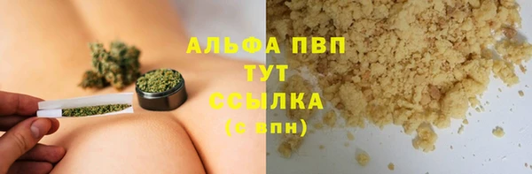 ГАЛЛЮЦИНОГЕННЫЕ ГРИБЫ Белокуриха