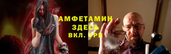 индика Беломорск