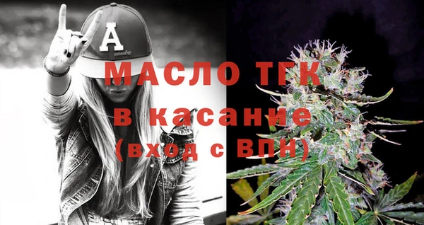 индика Беломорск