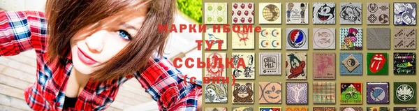 ГАЛЛЮЦИНОГЕННЫЕ ГРИБЫ Белокуриха