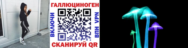 Галлюциногенные грибы Psilocybe  где продают наркотики  Балей 